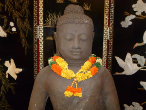 Buddha Nibukai